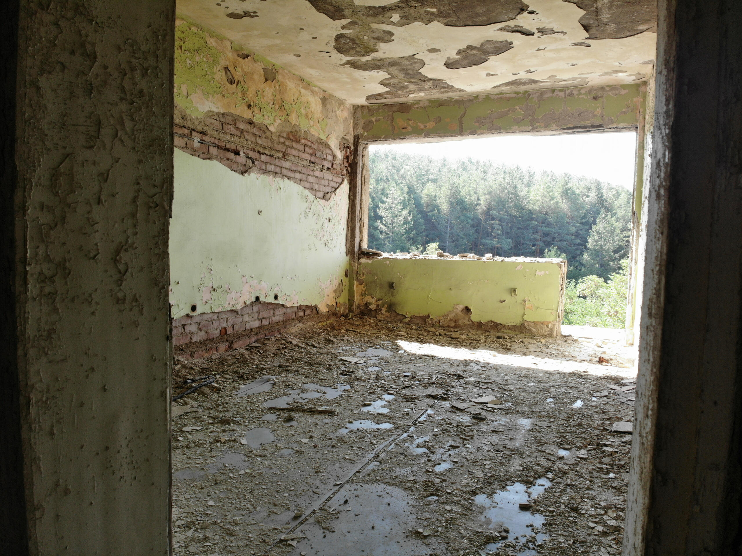 Interior room with exposed concrete ceiling and window opening to forested landscape