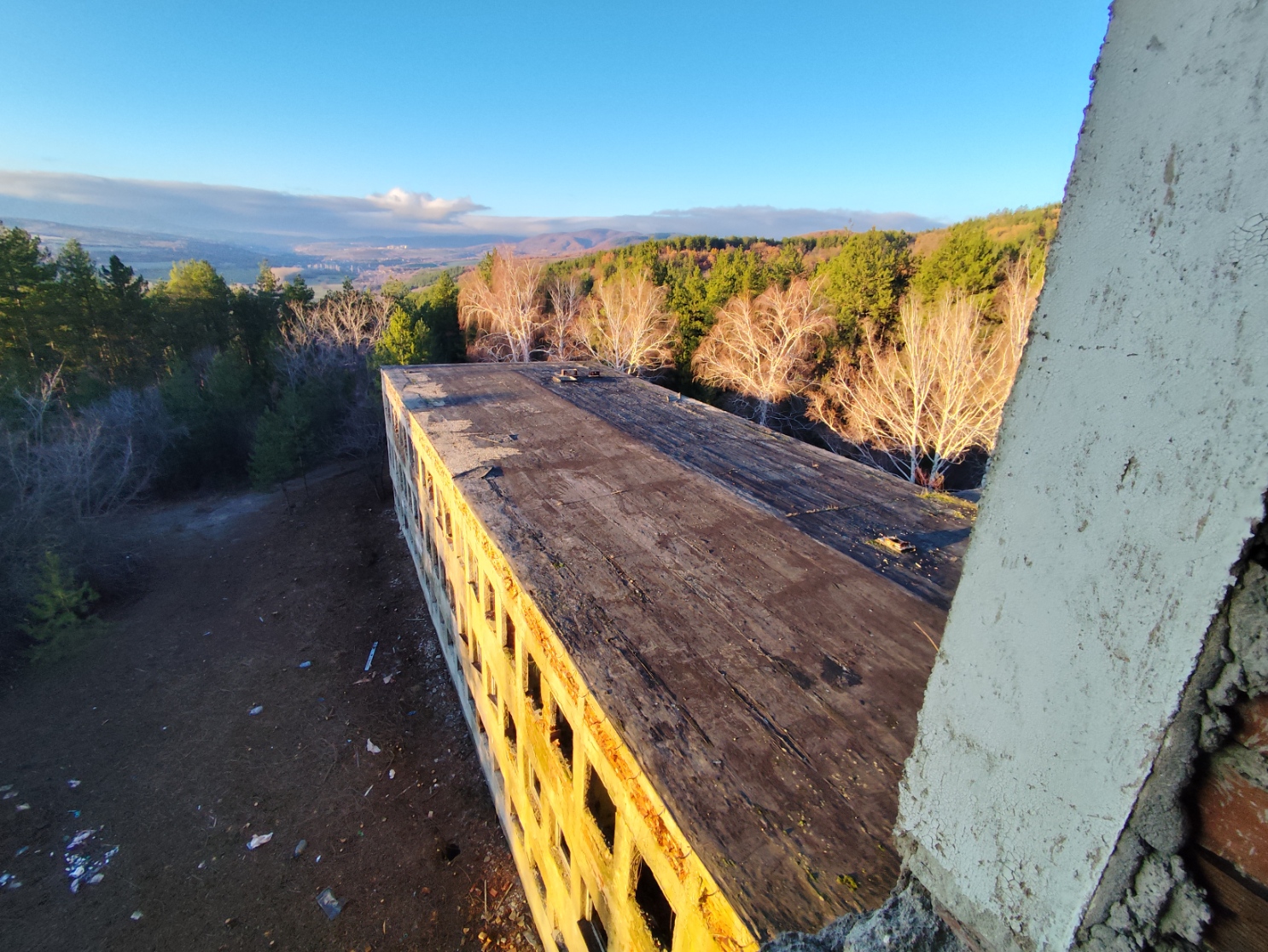 Aerial perspective of roof deck and surrounding forested landscape